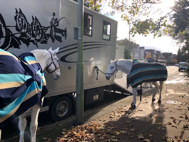 イギリスの馬車レンタルサービスがあるのを知った話 オンライン海外インテリアコーディネート無料相談 海外インテリアコーディネーター イギリスの馬車レンタルサービスがあるのを知った話 オンライン海外インテリアコーディネート無料相談 海外インテリアコーディネーター