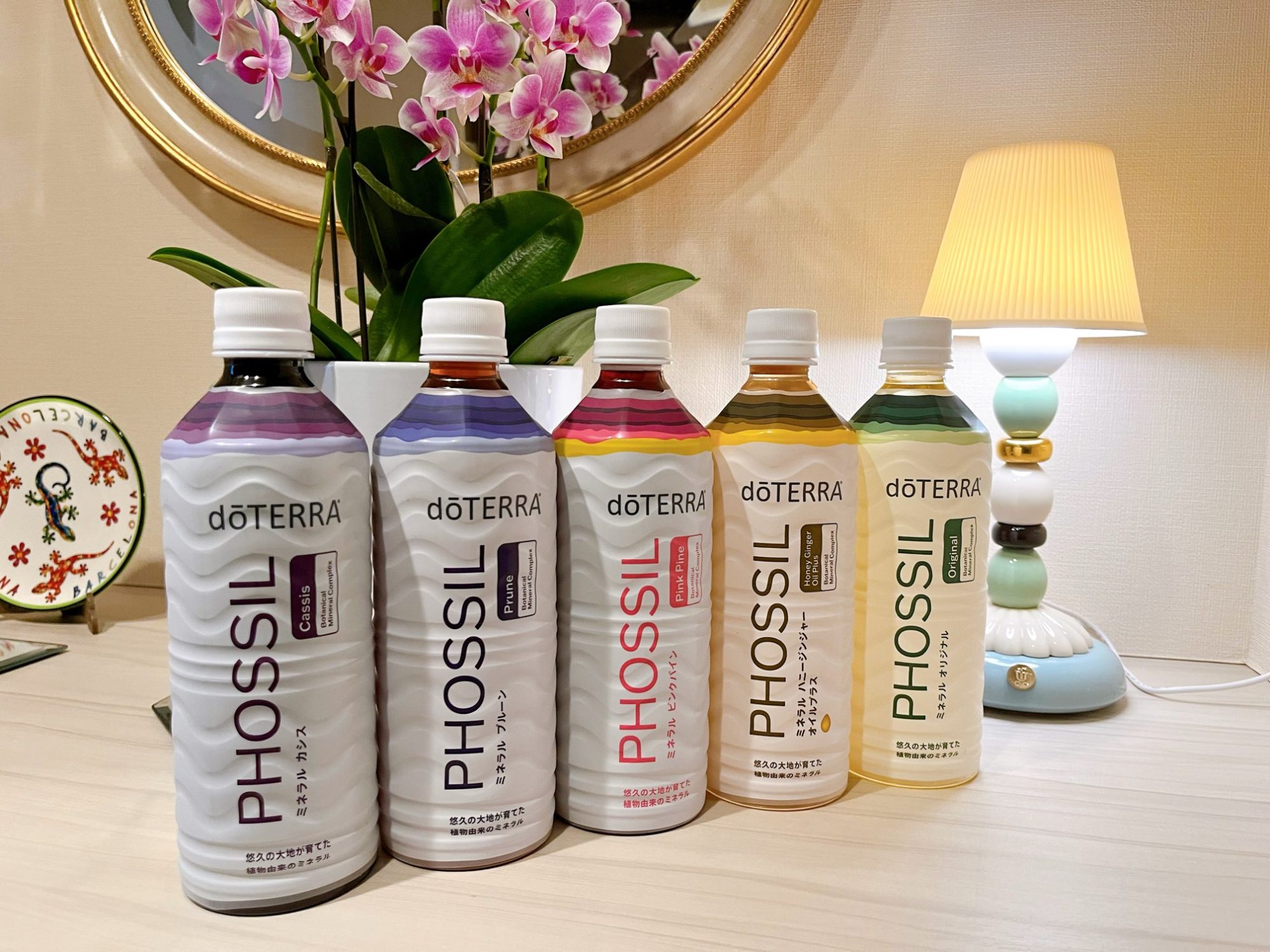 植物性ミネラル